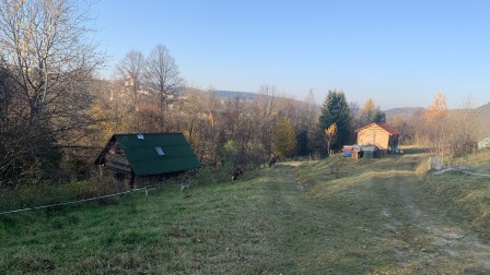 Zakątek u Basi - domek na wynajem i sauna